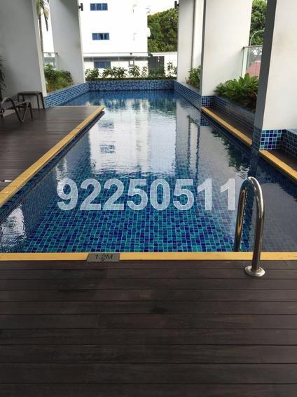 Harbour Suites (D4), Apartment #160653812